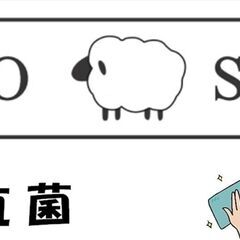 【新品未使用】[TOKYO SLIPPER] 子供用 ビニールスリッパ 吊り込み【5足セット】【キッズ 子ども ジュニア用】 抗菌加工済み 水拭き可 かわいい 子供用スリッパ 滑り止め付き 幼稚園 室内履き 自宅用 業務用 (前閉じ ライトグリーン)の画像