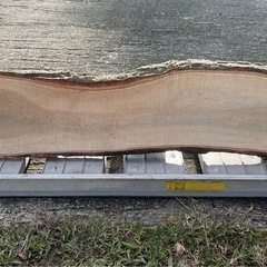 樹皮付き未加工木材 一枚板 天板 木板 素材 無垢の画像