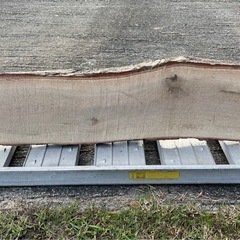 樹皮付き未加工木材 一枚板 天板 木板 素材 無垢の画像