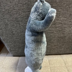 たっちリアル 子猫ジャンボ ぬいぐるみ ねこ グレーの画像