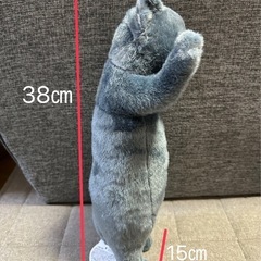 たっちリアル 子猫ジャンボ ぬいぐるみ ねこ グレーの画像