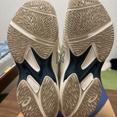 アシックス Solution Swift FF2の画像