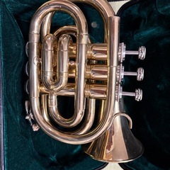 ポケットトランペットの画像