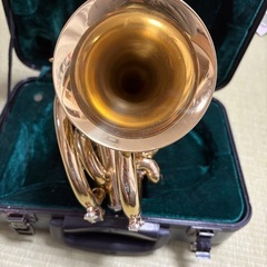 ポケットトランペットの画像