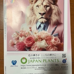 pumpkin 11月号の画像