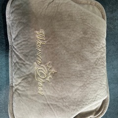 ほぼ新品　購入時4000円　電気 湯たんぽの画像