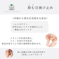 クリスタルトマト　16つぶ粒の画像