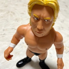 【激レア】フィギュア髙山善廣の画像