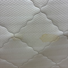 セミダブルベッド
＆BANON /すのこベッドの画像