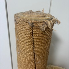 爪とぎタワー
の画像