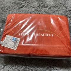 サンリオ　低反発枕の画像