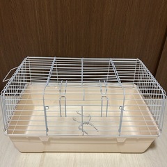 小動物色々！の画像