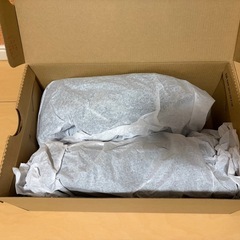 【引き取り限定】【新品未使用品】ミズノ安全靴　オールマイティLS II 11Lの画像