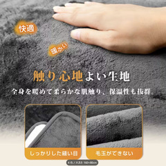 敷き専用の電気毛布　160×80cm　重厚な厚手生地　丸洗い可　ダニ退治機能の画像
