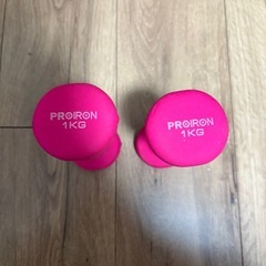 【無料】ダンベル1kg 2個セットの画像