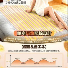 新品 電気毛布 掛け敷き兼用 188×130cm 3分速暖 電気ブランケットの画像