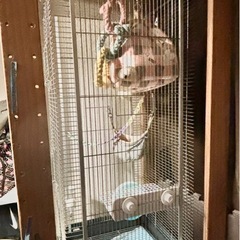 【早めの取引き希望】棚　家具収納の画像