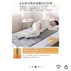 でんきも電気毛布の画像