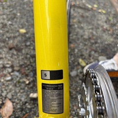 未使用ジャイアント「ESCAPE R3 W LTD」の画像