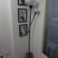 スタンドライトの画像