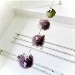 スモークツリー　小分け　wmjの画像