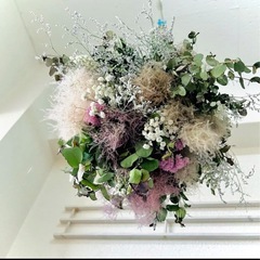 スモークツリー　小分け　wmjの画像