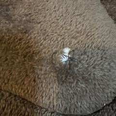 高反発ラグ 60mm厚さ 185x185cm 丸洗い可　防音、滑り止め、洗濯機可の画像