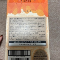 世にもおいしいブラウニー　8個入りの画像