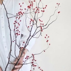 赤い木の実の画像