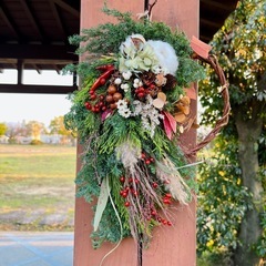 赤い木の実の画像