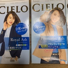 ヘアーカラーの画像