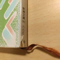 『火の鳥』伊藤 整　新潮文庫の画像