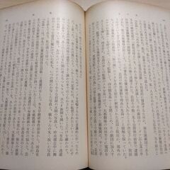 『火の鳥』伊藤 整　新潮文庫の画像