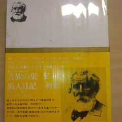 『貴族の巣　父と子　猟人日記　初恋』ツルゲーネフ　講談社の画像