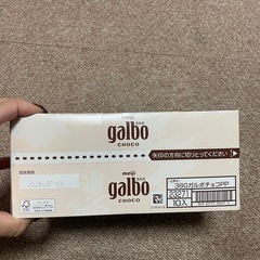 ガルボ　チョコレートの画像