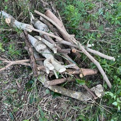 沢山あります　薪にどうぞの画像