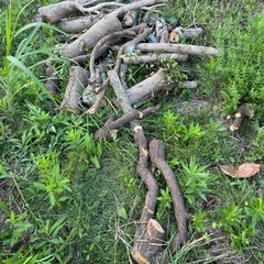 沢山あります　薪にどうぞの画像