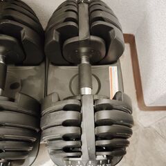 片方２４Kの可変式ダンベルをペアーで。の画像