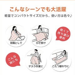 新品未使用未開封❣️ 電気毛布 敷き 140*80cm 電気しき毛布 電気掛け敷き毛布 電気掛敷毛布 洗える 電気ブランケット 10段階 温度調節 極軽設計 静電気防止 ダニ退治 肌触りがいい シングル 抗菌 防臭 掛け敷き兼用の画像