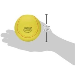 ソフトボール　　の画像