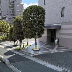 11月20日　剪定経験者の方募集　作業場所は川口根岸の画像