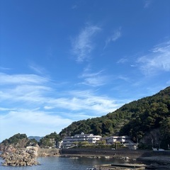 【限定3せセット】越前で実ったカリン無農薬カリン🍋シロップ･ジャム･カリン酒におすすめ✨️約1kgの画像