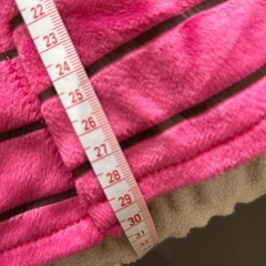 ディズニーポンチョの画像