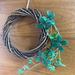 壁掛けフェイクグリーンです✨の画像