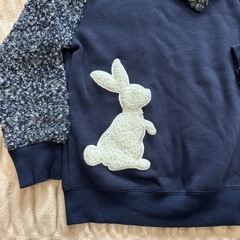 トレーナー120の画像