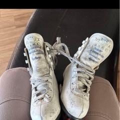 18cmスケート靴の画像