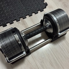 可変式ダンベル32kg x2個の画像