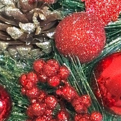 クリスマスリースの画像