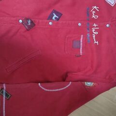 カールヘルムの画像