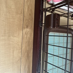 犬のゲージの画像